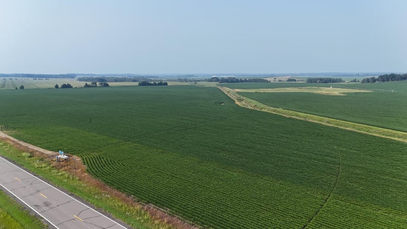 TBD County 61, Browerville, MN 56438