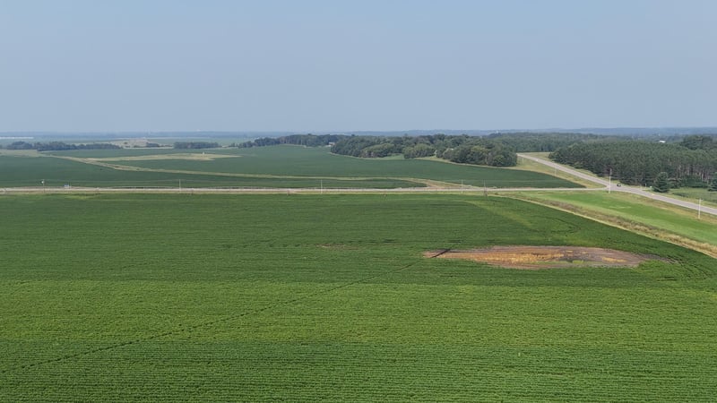 0000 County 61, Browerville, MN 56438