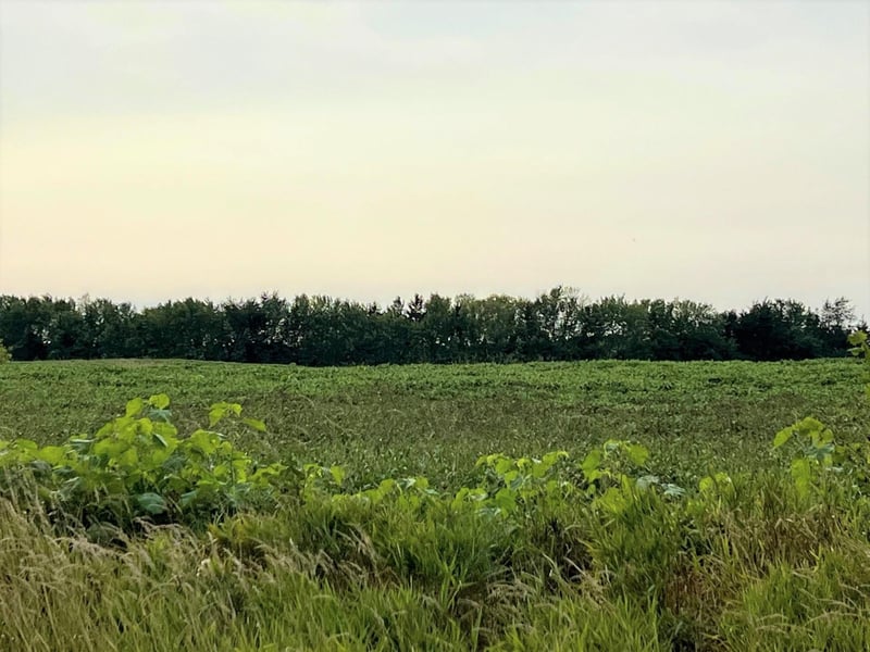 XXXXX Jeffrey Ave N Parcel B, Hugo, MN 55038