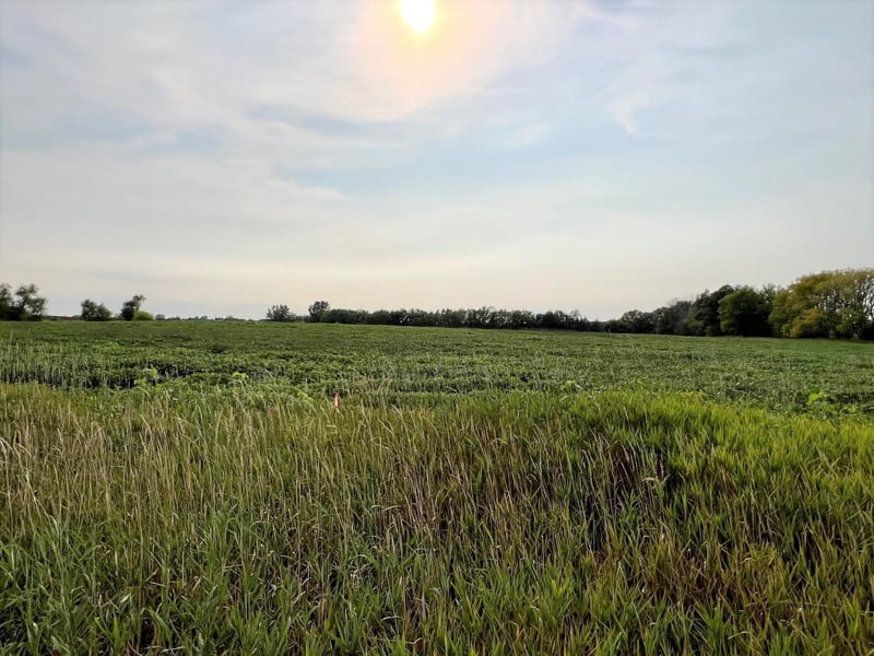 XXXXX Jeffrey Ave N Parcel B, Hugo, MN 55038