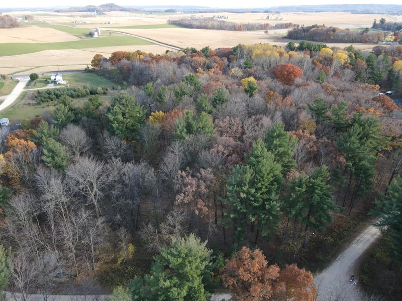Lot 35 N4XX 297th St, Eau Galle, WI 54737