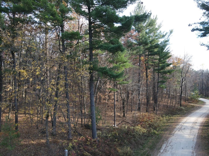 Lot 35 N4XX 297th St, Eau Galle, WI 54737