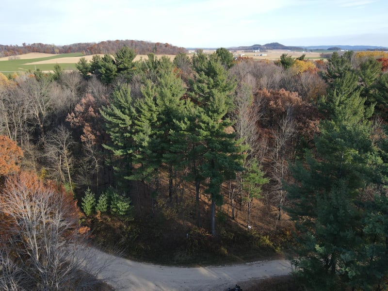 Lot 35 N4XX 297th St, Eau Galle, WI 54737