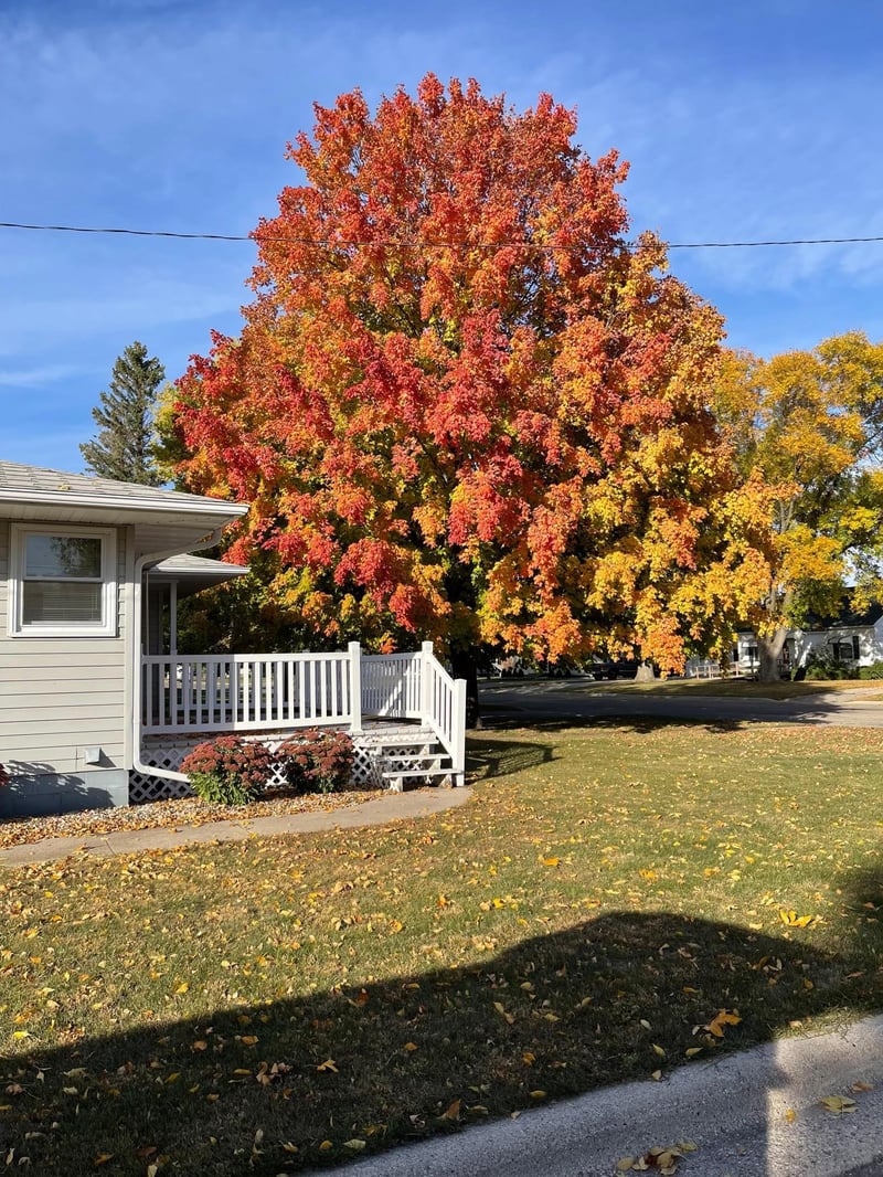 311 1st St E, Chokio, MN 56221