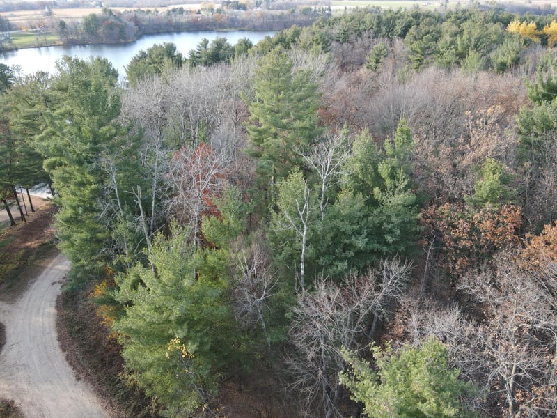 Lot 18 N4XX 297th St, Eau Galle, WI 54737