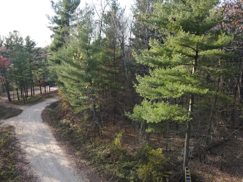 Lot 18 N4XX 297th St, Eau Galle, WI 54737