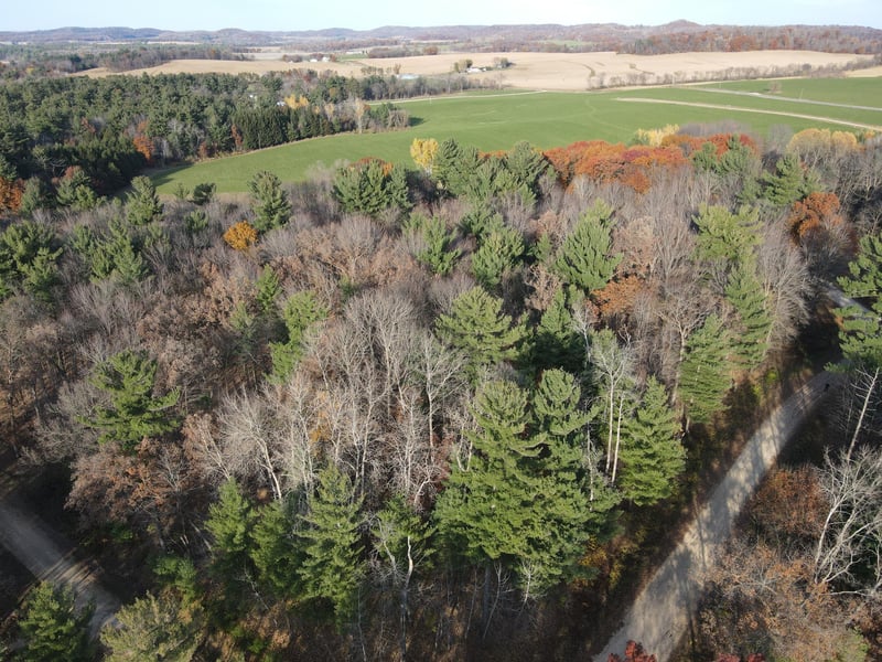 Lot 18 N4XX 297th St, Eau Galle, WI 54737