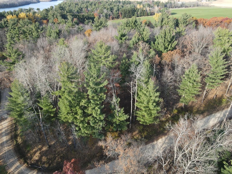 Lot 18 N4XX 297th St, Eau Galle, WI 54737