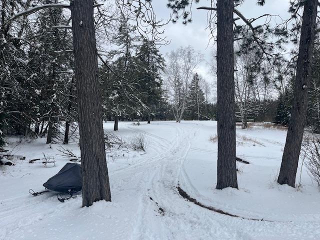 8528 Reid Rd, Britt, MN 55710