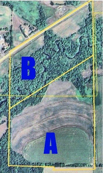 xxXX Parcel A 100th St, Swanville, MN 56382
