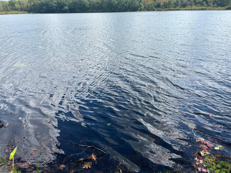 6704N Jonans Rd, Stone Lake, WI 54876