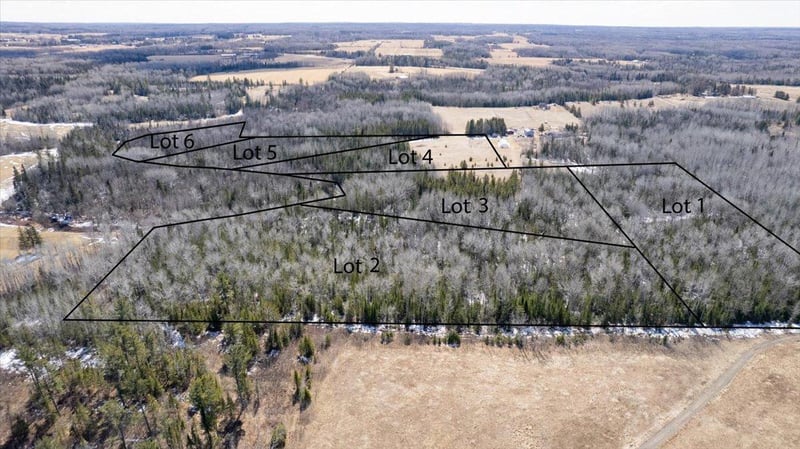 9377 E Wood Lot 1 Rd #parcel 1, Poplar, WI 54864