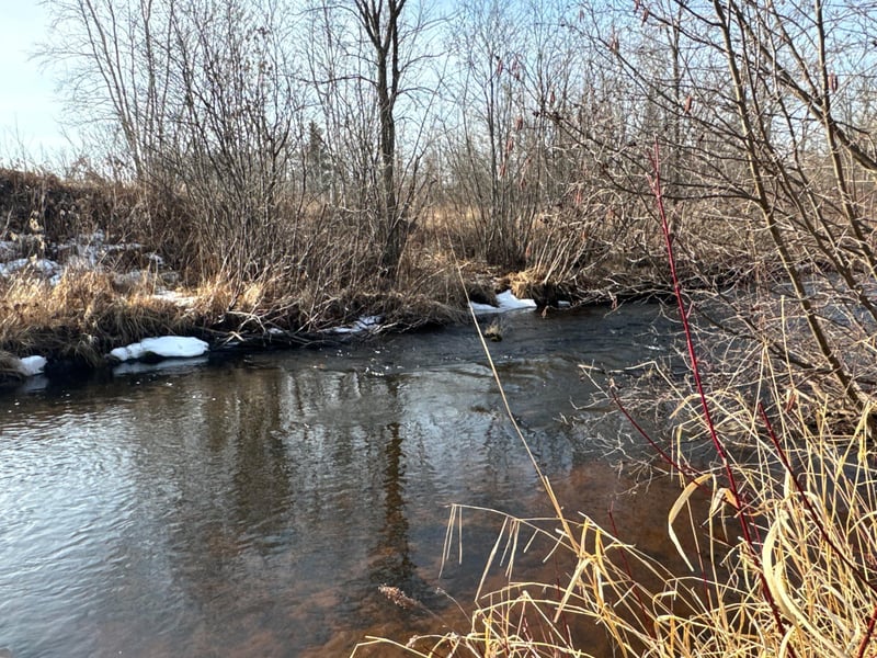 N10501 County Highway M, Springbrook, WI 54875