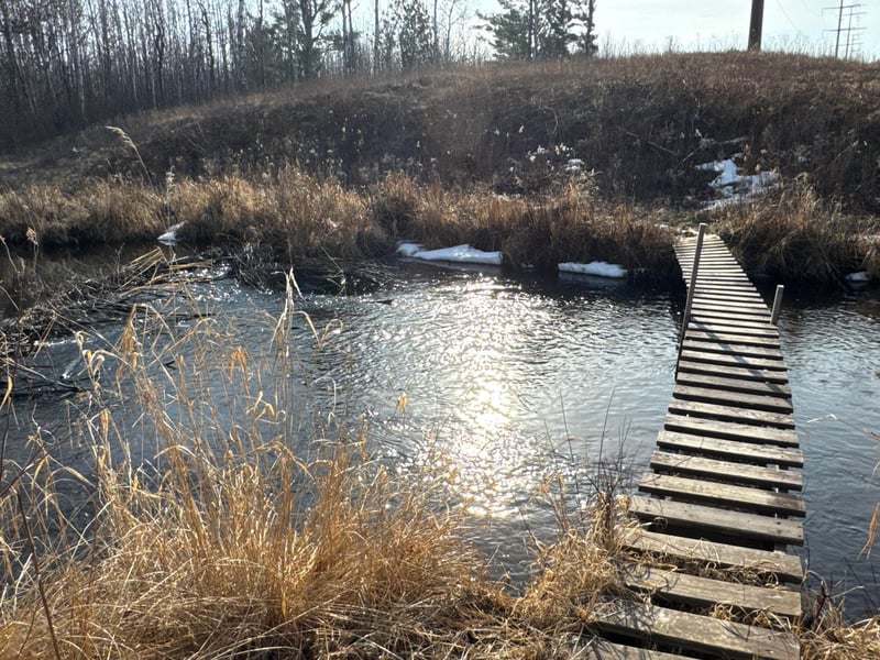 N10501 County Highway M, Springbrook, WI 54875