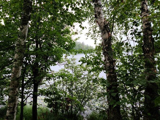 XXX N White Swan Lake Rd, Bigfork, MN 56628