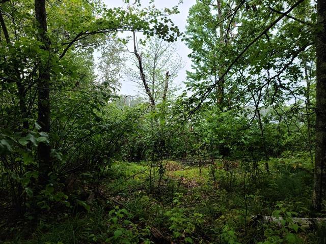 XXX N White Swan Lake Rd, Bigfork, MN 56628