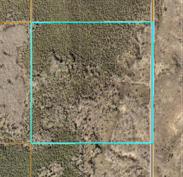 TBD Xxx, Emily, MN 56447