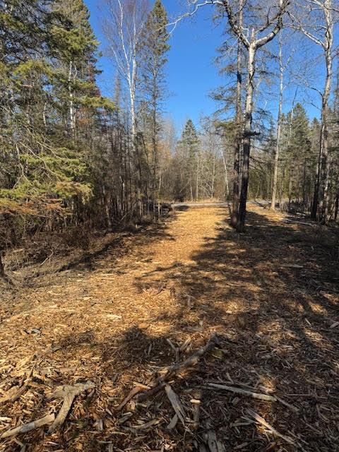 5797 N Shore Dr Duluth Mn 55804, Duluth, MN 55804