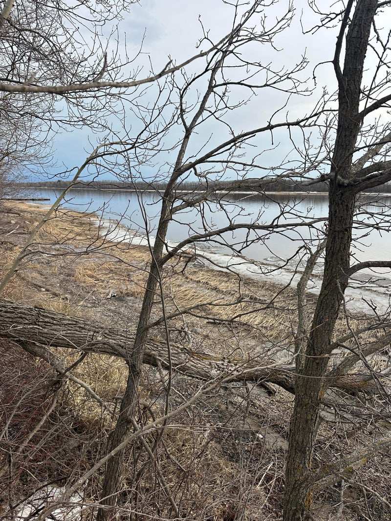 TBD Maple Dr NW, Baudette, MN 56623