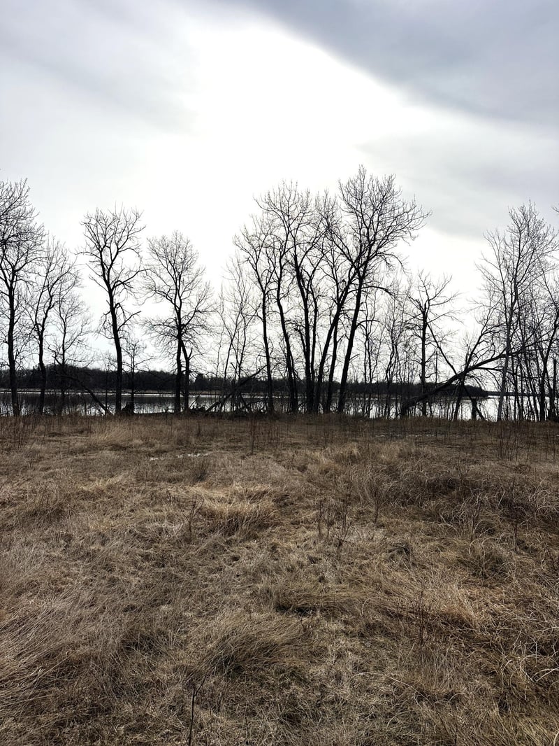 TBD Maple Dr NW, Baudette, MN 56623