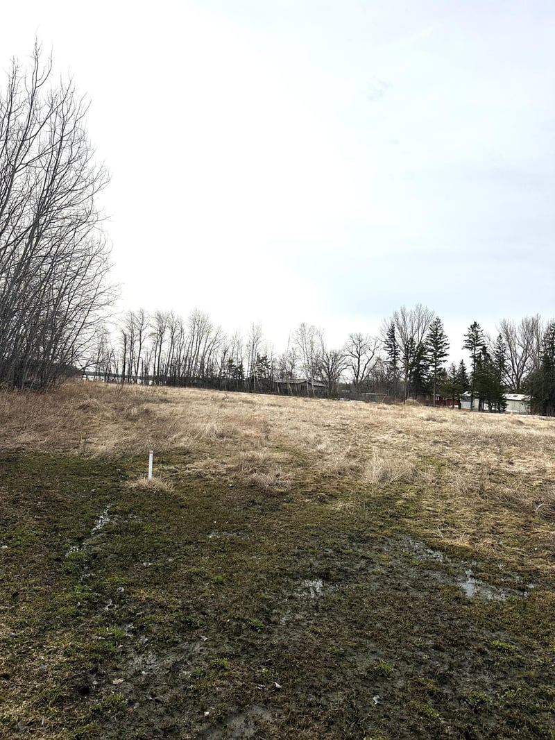 TBD Maple Dr NW, Baudette, MN 56623