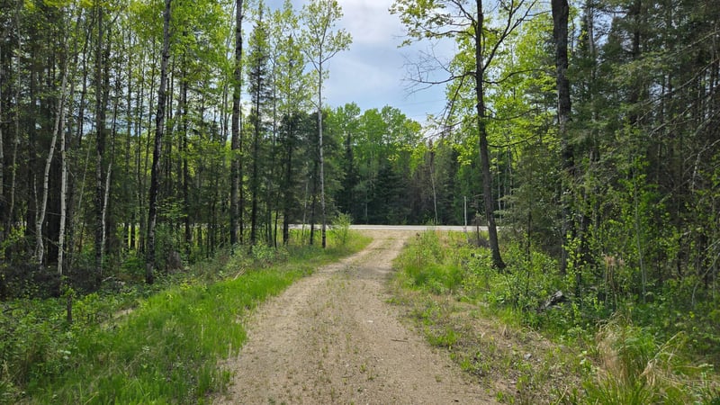 7316 Crane Lake Rd, Crane Lake, MN 55725