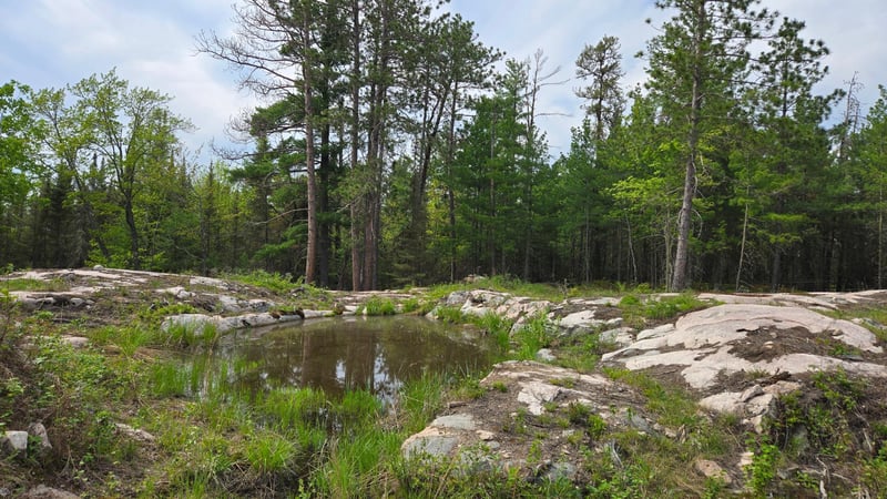 7316 Crane Lake Rd, Crane Lake, MN 55725