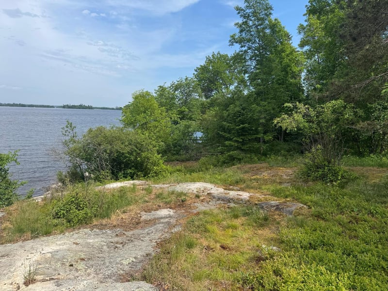 xx3.64 Gamma Rd, Kabetogama, MN 56669