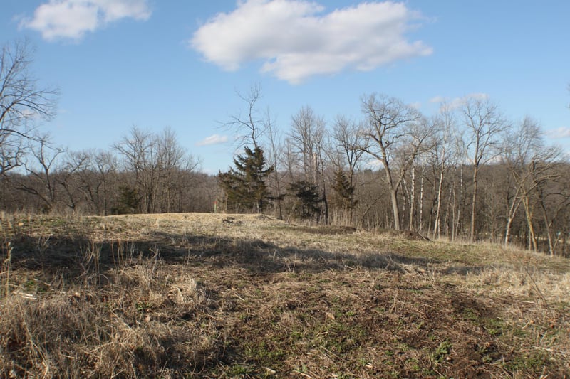 xxxxC Kings Park Rd NW, Oronoco, MN 55960