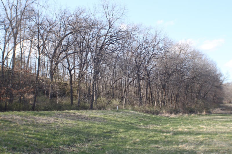 xxxxC Kings Park Rd NW, Oronoco, MN 55960
