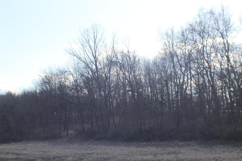 xxxxB Kings Park Rd NW, Oronoco, MN 55960
