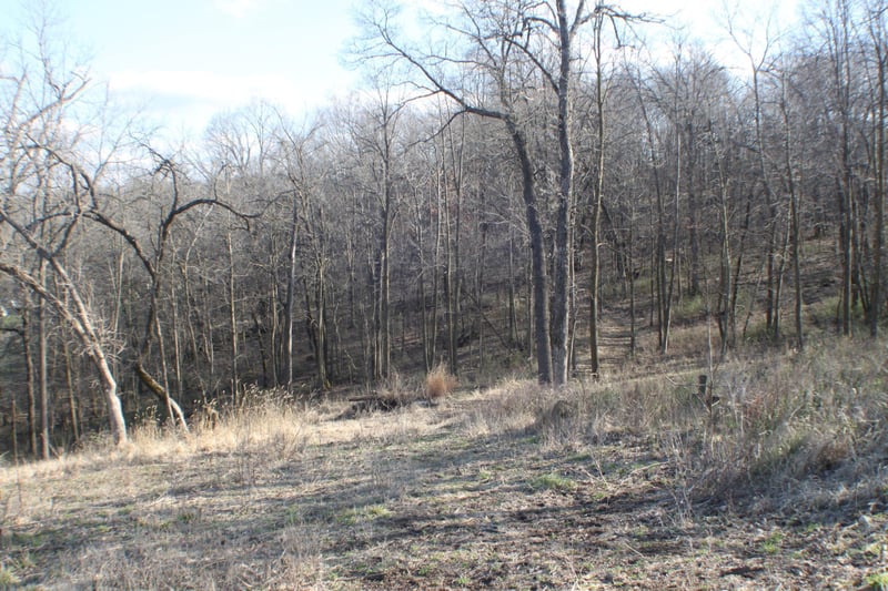 xxxxB Kings Park Rd NW, Oronoco, MN 55960