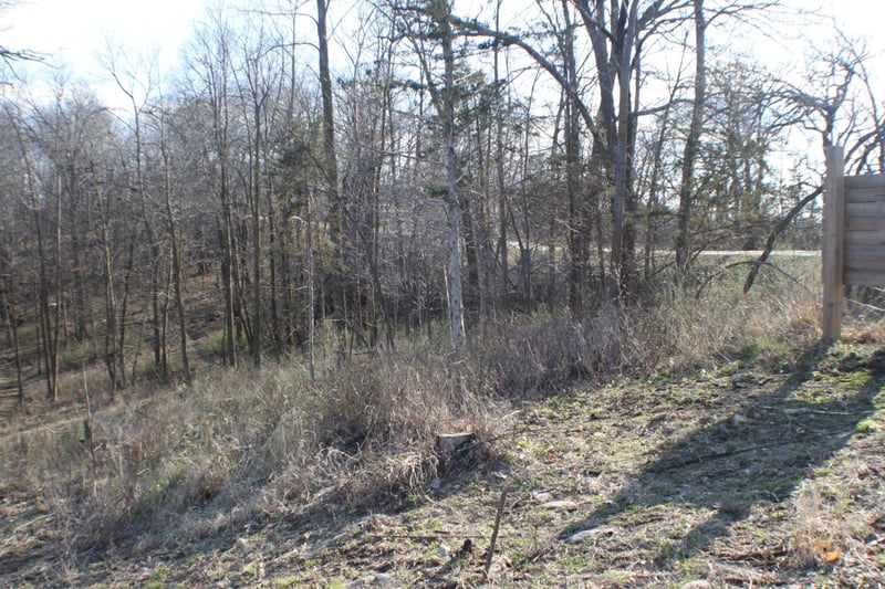 xxxxB Kings Park Rd NW, Oronoco, MN 55960