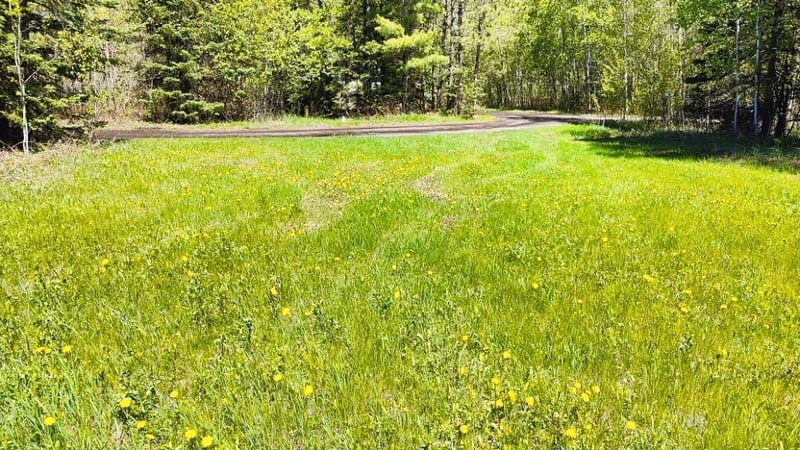 80012 Conifer Crest, Tower, MN 55790