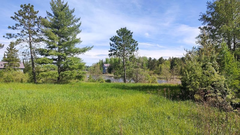 80048 Tamarack Trl, Tower, MN 55790