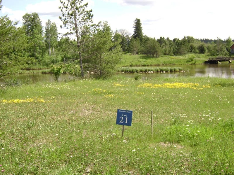 80048 Tamarack Trl, Tower, MN 55790