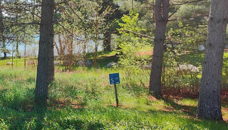 80075 Lake Of Vermilion Rd, Tower, MN 55790