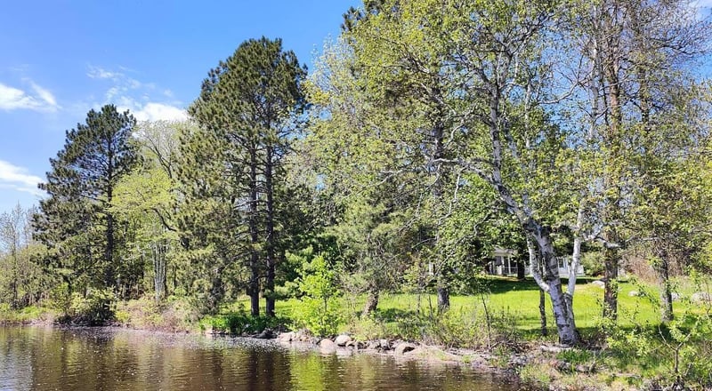 80052 Tamarack Trl, Tower, MN 55790