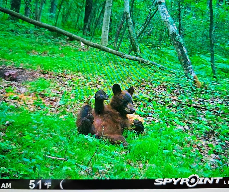XXX Oak Point Rd NW, Cass Lake, MN 56633