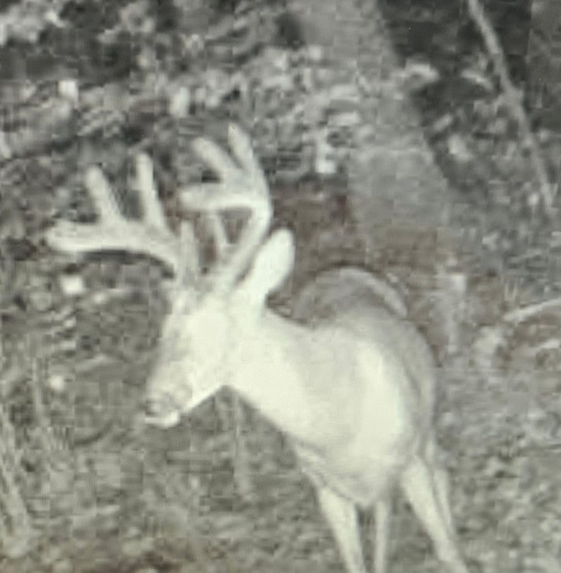 XXX Oak Point Rd NW, Cass Lake, MN 56633