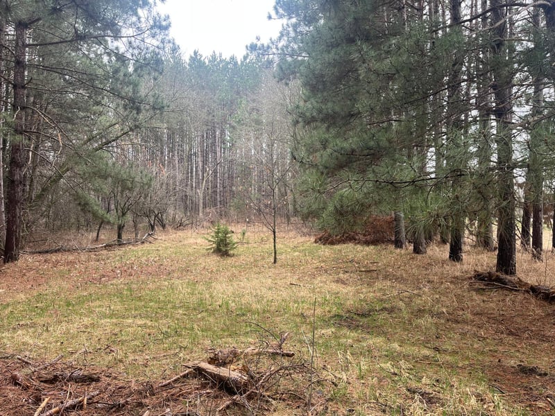 Xxxxx Old 67 Rd, Henning, MN 56551