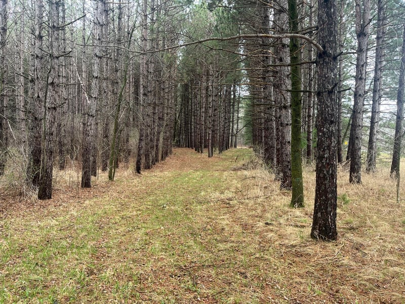 Xxxxx Old 67 Rd, Henning, MN 56551
