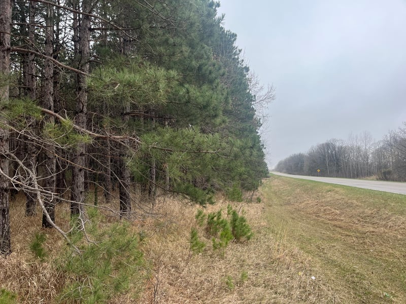 Xxxxx Old 67 Rd, Henning, MN 56551