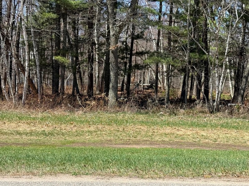 TBD County Road 4, Pequot Lakes, MN 56472