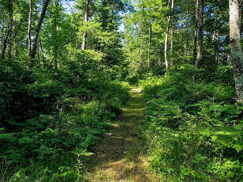 Lot 1 State Road 27/70, Couderay, WI 54828