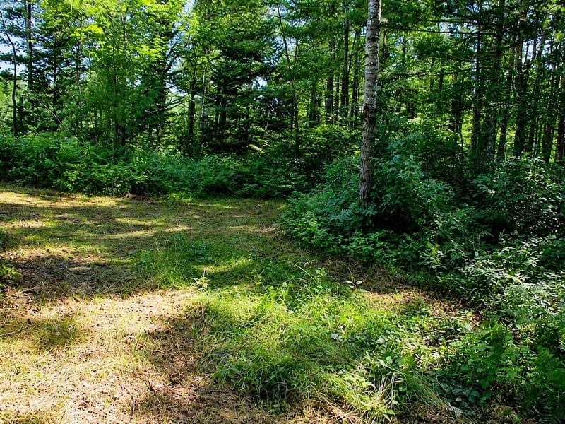 Lot 2 State Road 27/70, Couderay, WI 54828