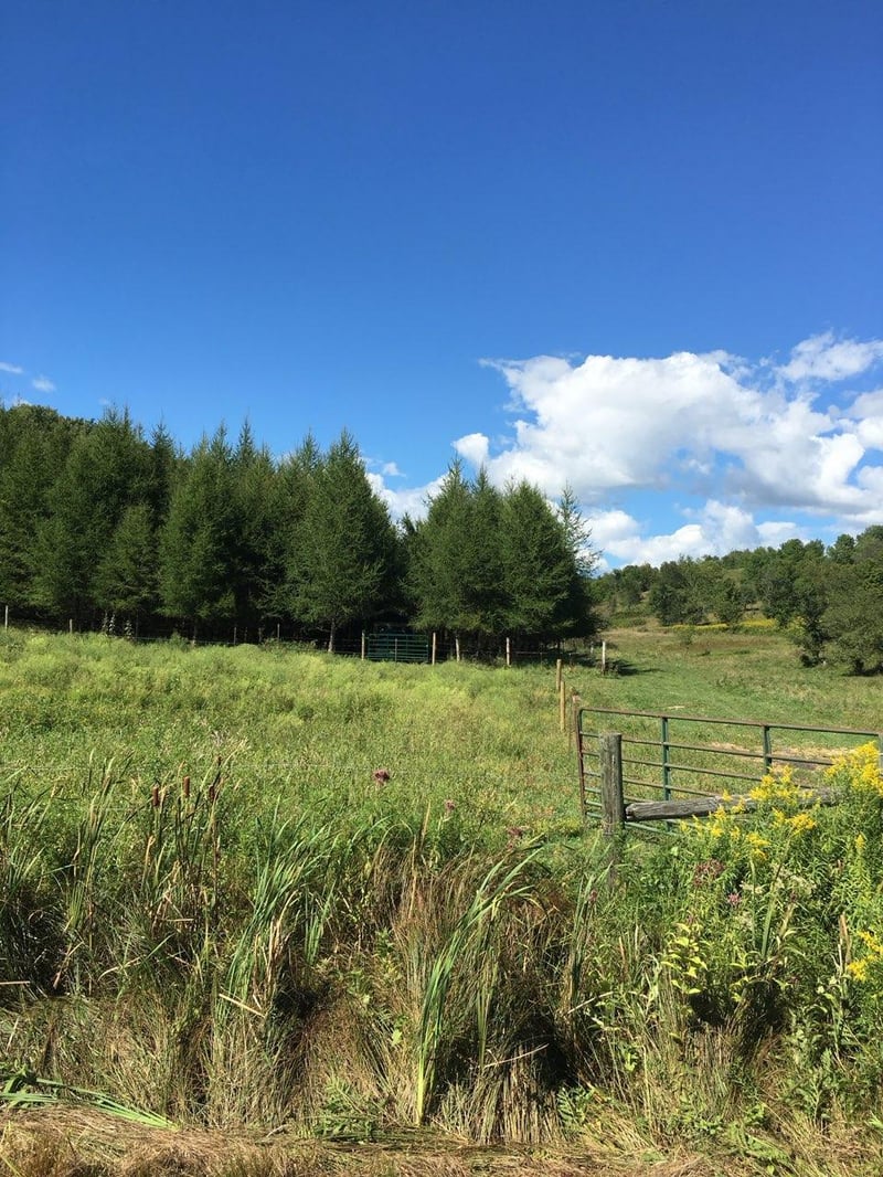 xxx 890th Ave, Knapp, WI 54749