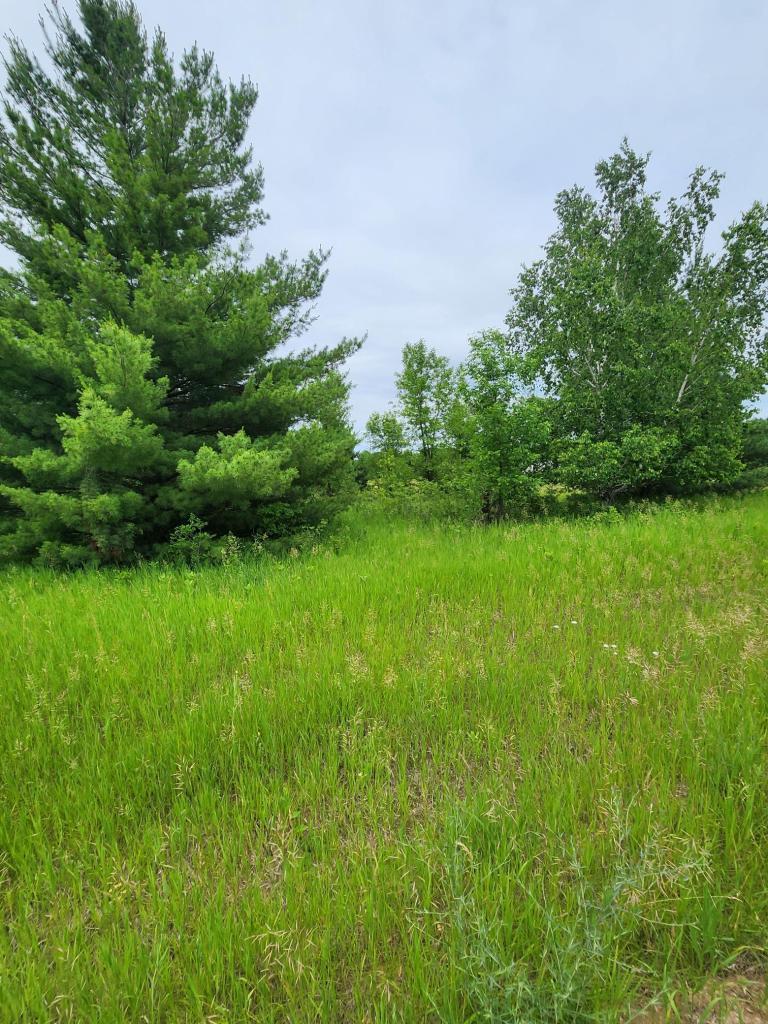 000 392nd St, Moran Twp, MN 56438