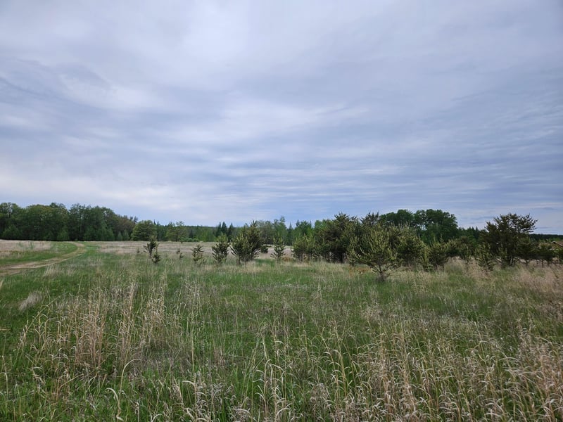 tbd Pillager Creek Trl SW, Pillager, MN 56473