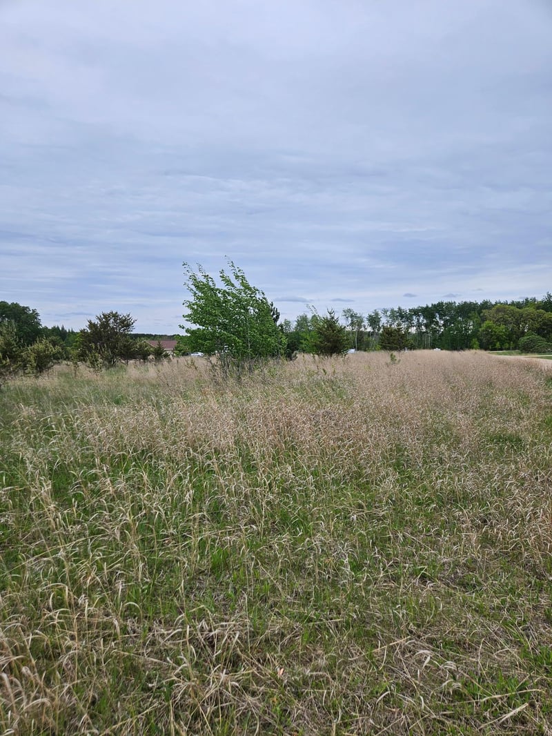 tbd Pillager Creek Trl SW, Pillager, MN 56473